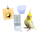 Plataforma Poleiro + Bebedouro E Pota Ovo Para Calopsita