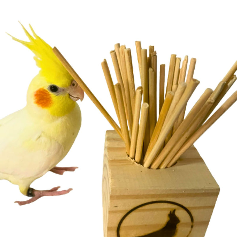 Brinquedo Para Calopsita Pega Palito E Plataforma
