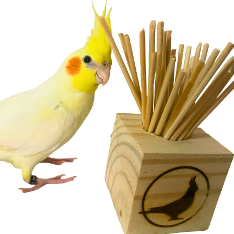 Brinquedo Para Calopsita Pega Palito E Plataforma