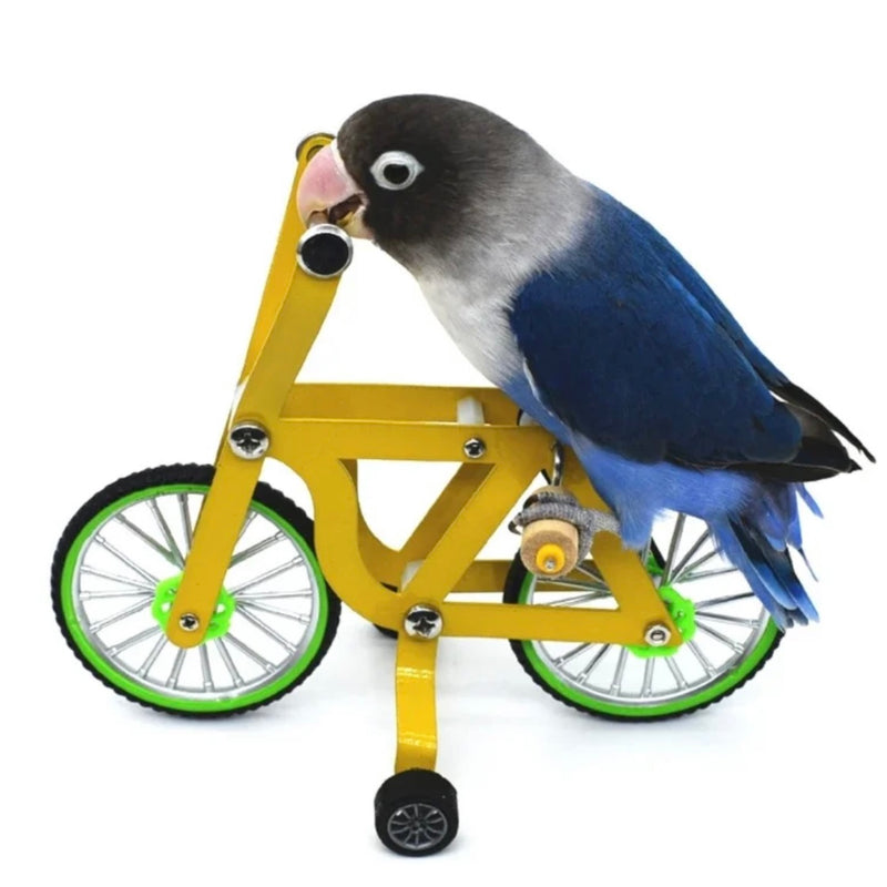 Mini Bicicleta para aves e calopsita