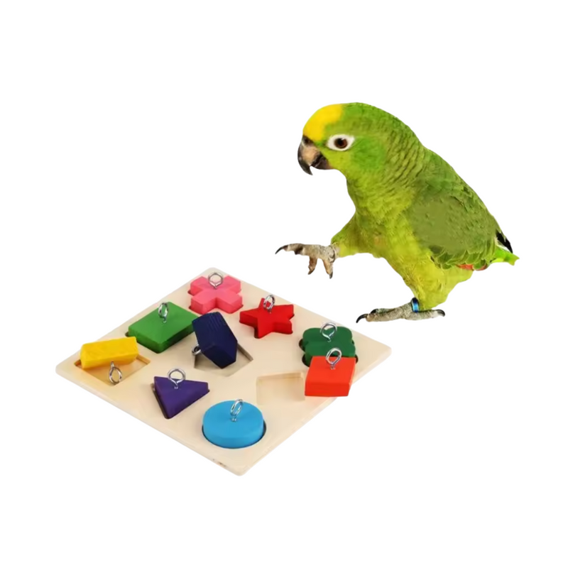 Brinquedo Interativo Educativo Para Papagaios, Calopsitas