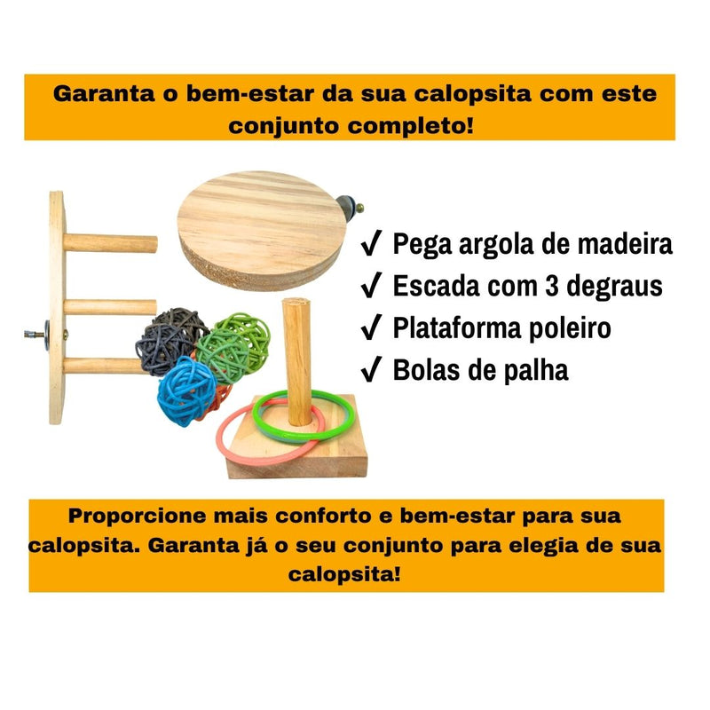 6 Brinquedos para calopsita de madeira diversão dentro ou fora da gaiola para calopsitas