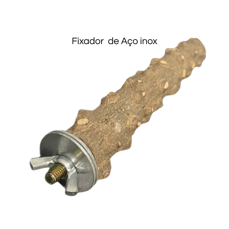 Poleiro de Madeira Natural Para Calopsitas Com Fixador Gaiola