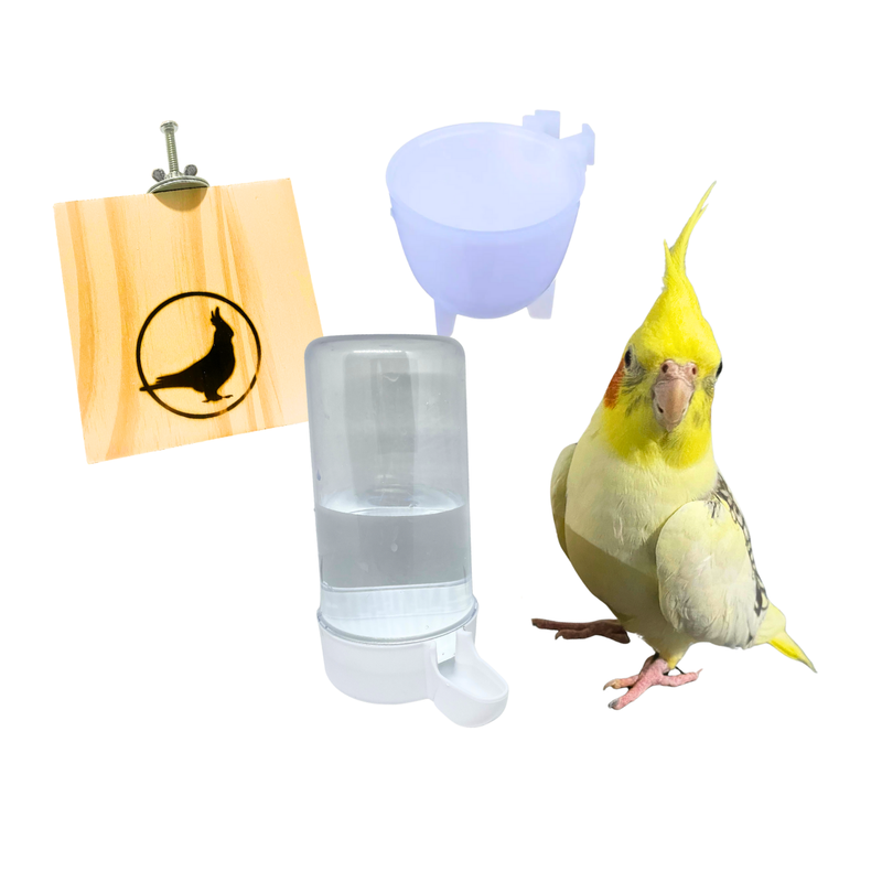 Plataforma Poleiro + Bebedouro E Pota Ovo Para Calopsita