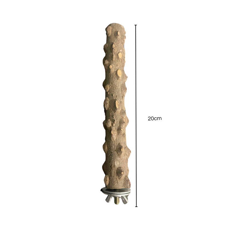 Poleiro de Madeira Natural Para Calopsitas Com Fixador Gaiola