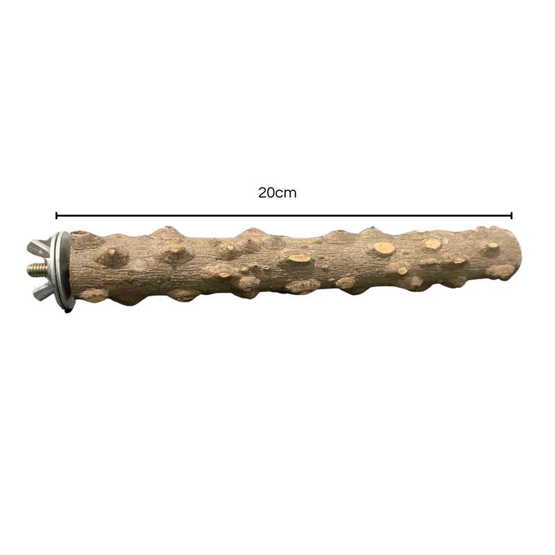 Poleiro de Madeira Natural Para Calopsitas Com Fixador Gaiola